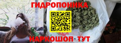 соль ск Ипатово
