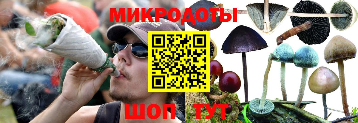Галлюциногенные грибы прущие грибы  Вход с VPN  Минусинск 